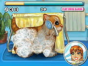 Игра Мой Милый Котенок