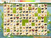 Игра Карточная игра