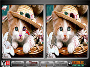 Игра Pet Animals Spot The Difference Game