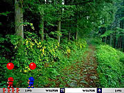 Игра Стреляй по Шарам 2004