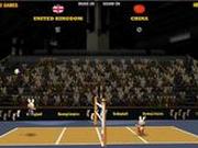 Игра Волейбол для кроликов