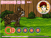 Игра Милый котенок