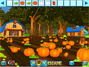 Игра Освобождение королевы индеек