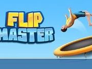 Игра Flip Master