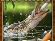 Игра Утренний Улов