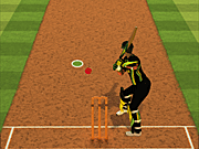 Игра Cricket Batter Challenge
