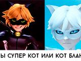 Игра Тест: Ты Супер Кот или Кот Блан?